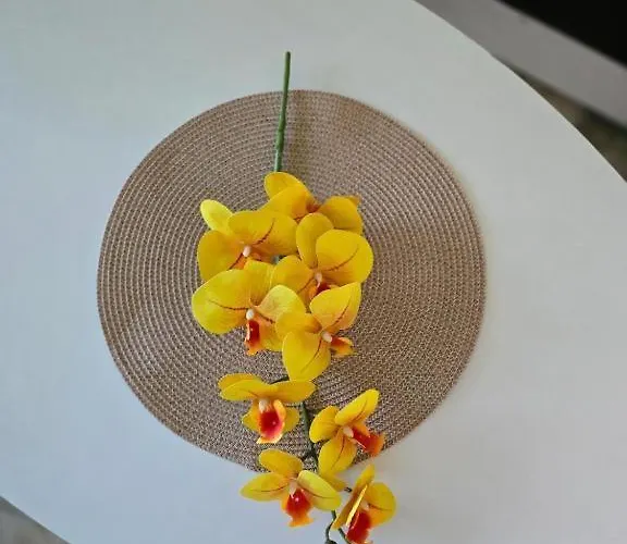 Adel's سوبوتيتْسا